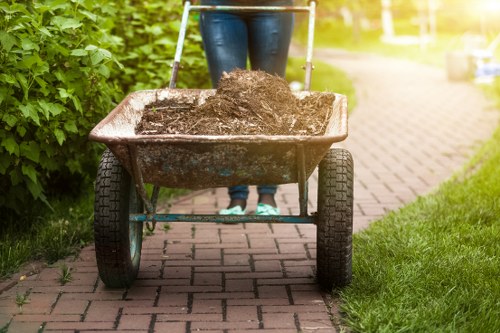 Professional skip placement for waste disposal